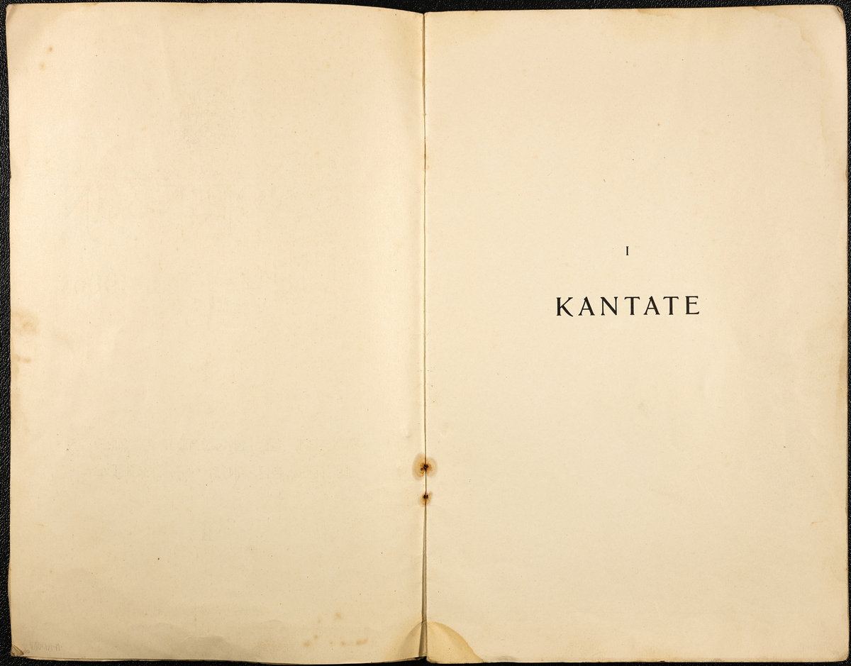 Hefte med tekst til kantatene og salmene ved kroningen i Trondheim 22. juni 1906,16 sider.