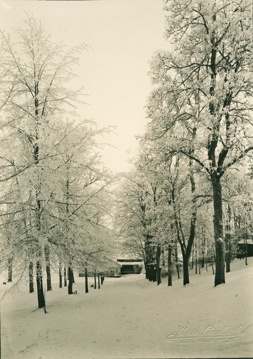 Gustafsberg i vinterskrud.