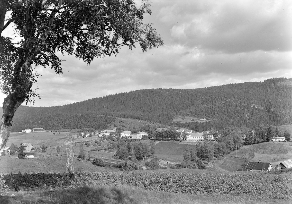 Klæbu, landskap