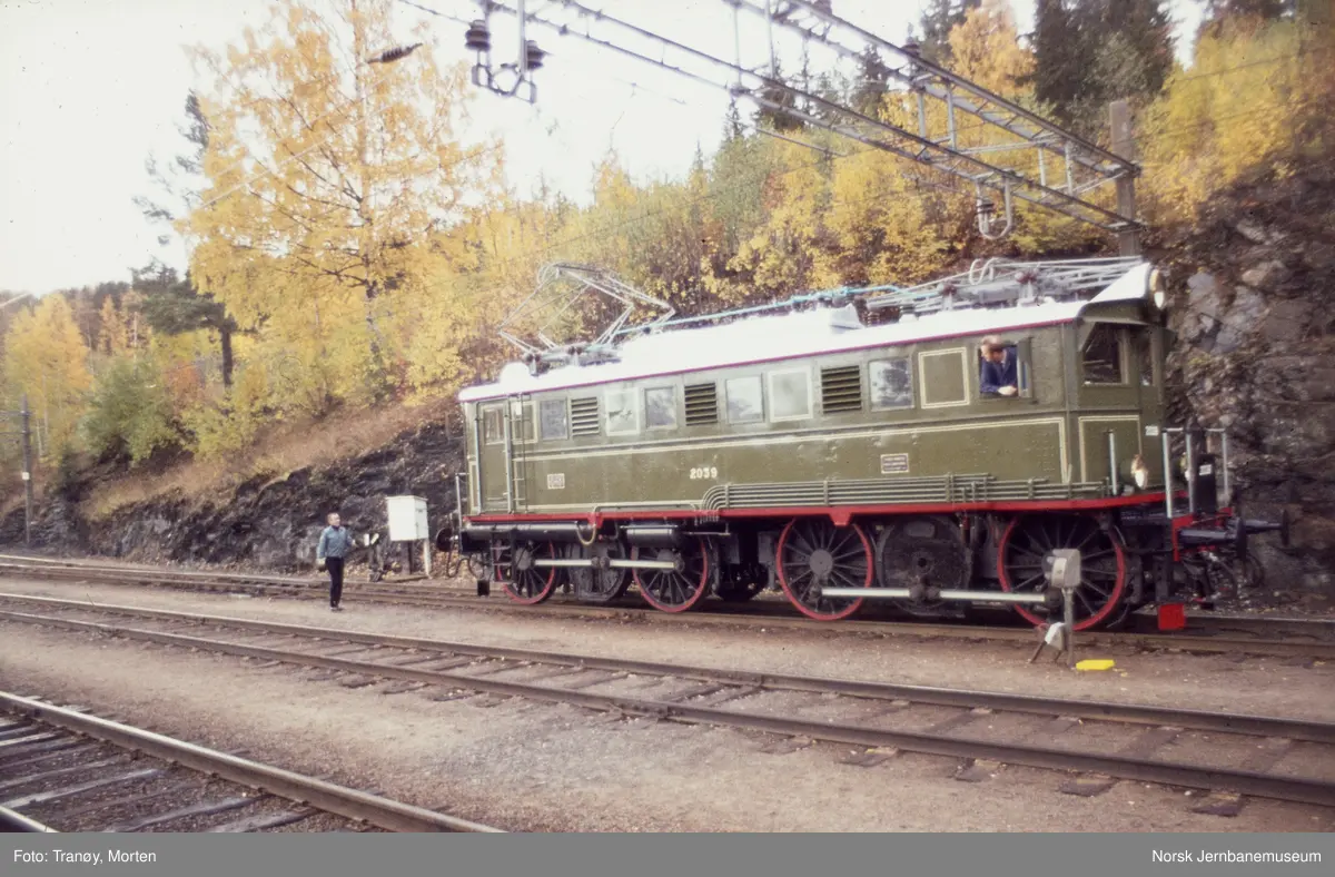 Elektrisk lokomotiv El 5 2039 på Roa stasjon