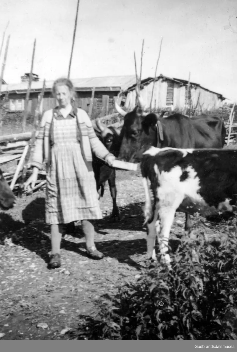 Flauseter Fåvang Ringebu