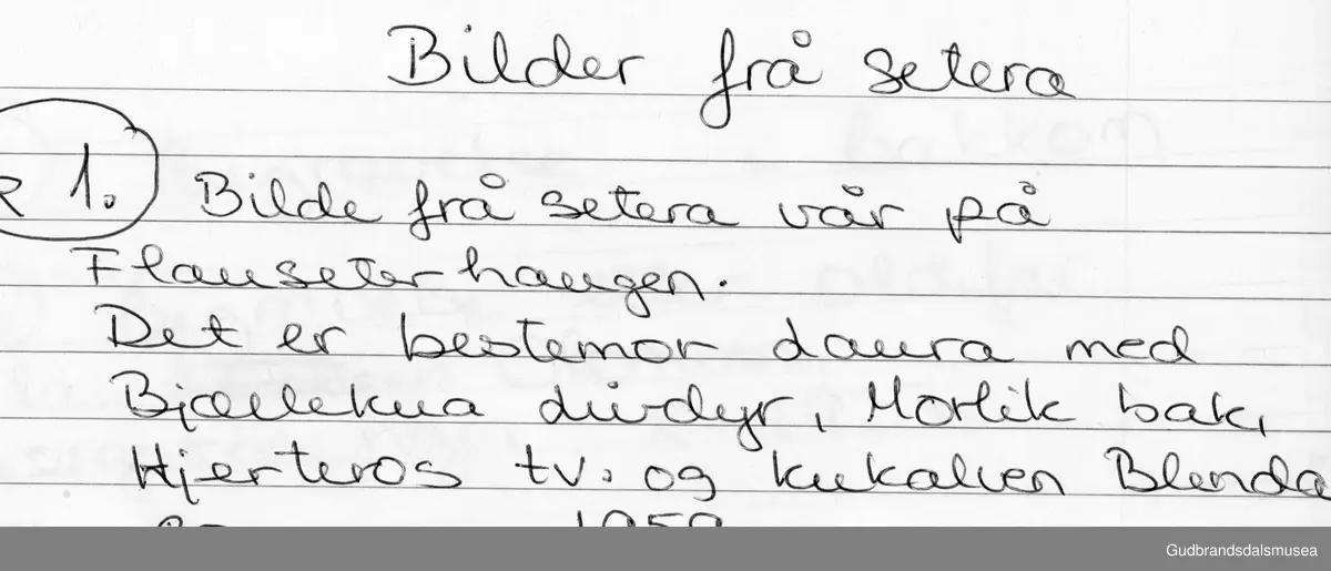 Flauseter Fåvang Ringebu