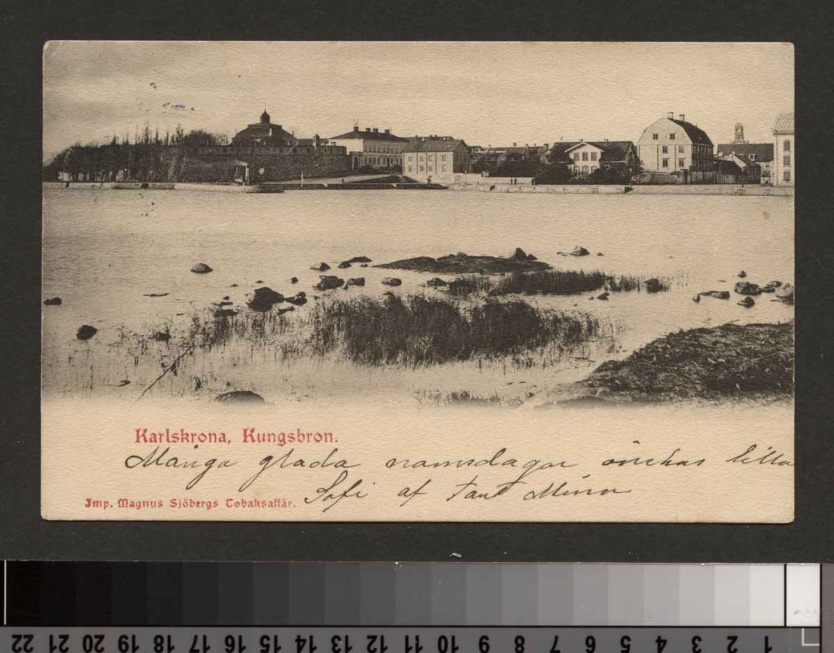 Vykortet avbildar vyn från Stumholmen mot Kungsbron på Trossö.