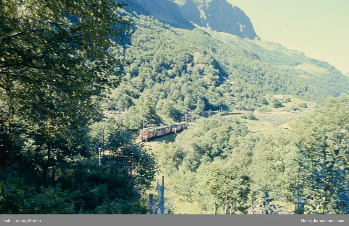 Elektrisk lokomotiv El 9 med persontog til Myrdal ved Berekvam stasjon på Flåmsbana