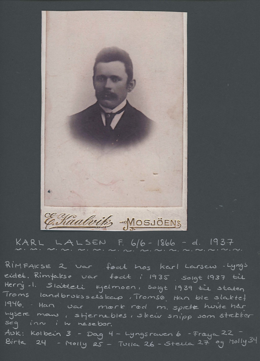 Fotografi og historier om lyngshesten fra ca. 1900 til 1994. Bilder av turistkjøring, gårdsarbeid, hestetransport, hesteutstilling og portretter.