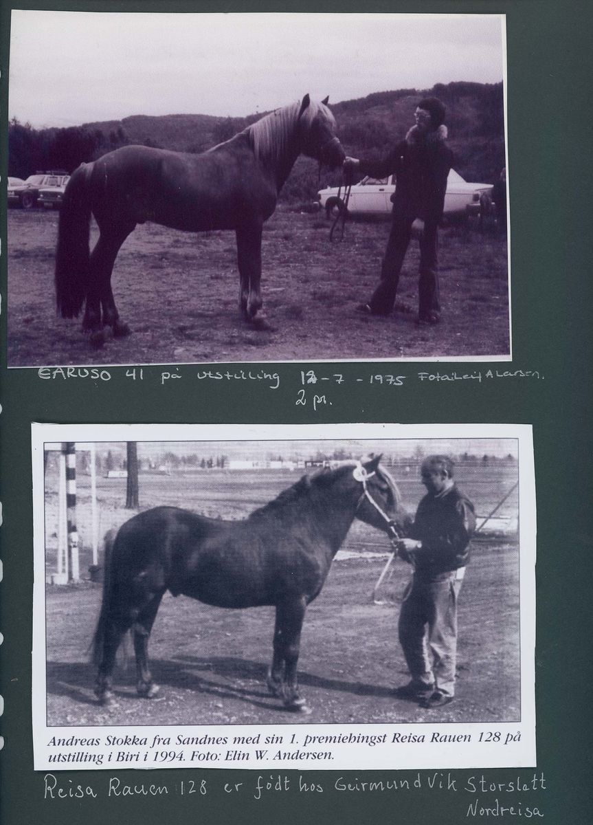 Fotografi og historier om lyngshesten fra ca. 1900 til 1994. Bilder av turistkjøring, gårdsarbeid, hestetransport, hesteutstilling og portretter.