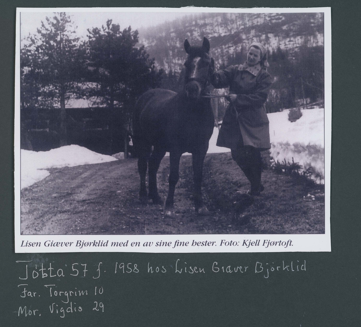 Fotografi og historier om lyngshesten fra ca. 1900 til 1994. Bilder av turistkjøring, gårdsarbeid, hestetransport, hesteutstilling og portretter.