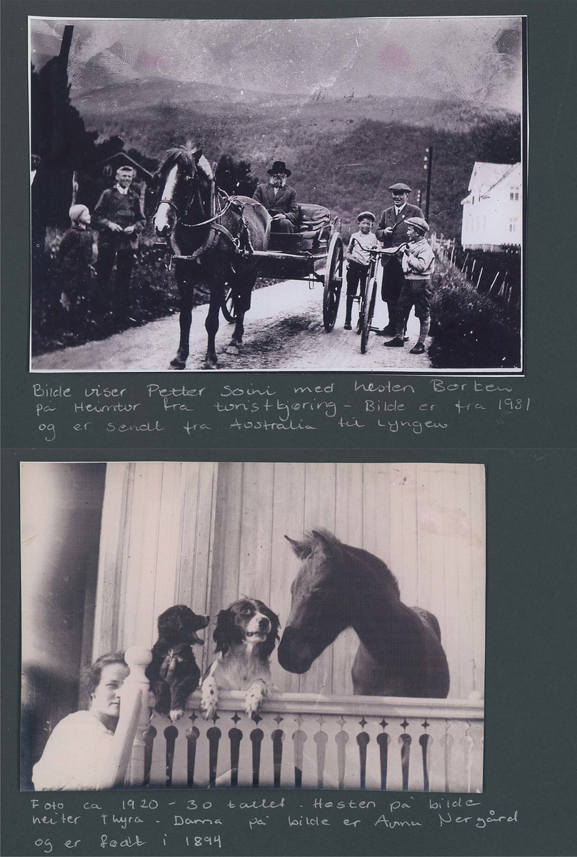 Fotografi og historier om lyngshesten fra ca. 1900 til 1994. Bilder av turistkjøring, gårdsarbeid, hestetransport, hesteutstilling og portretter.