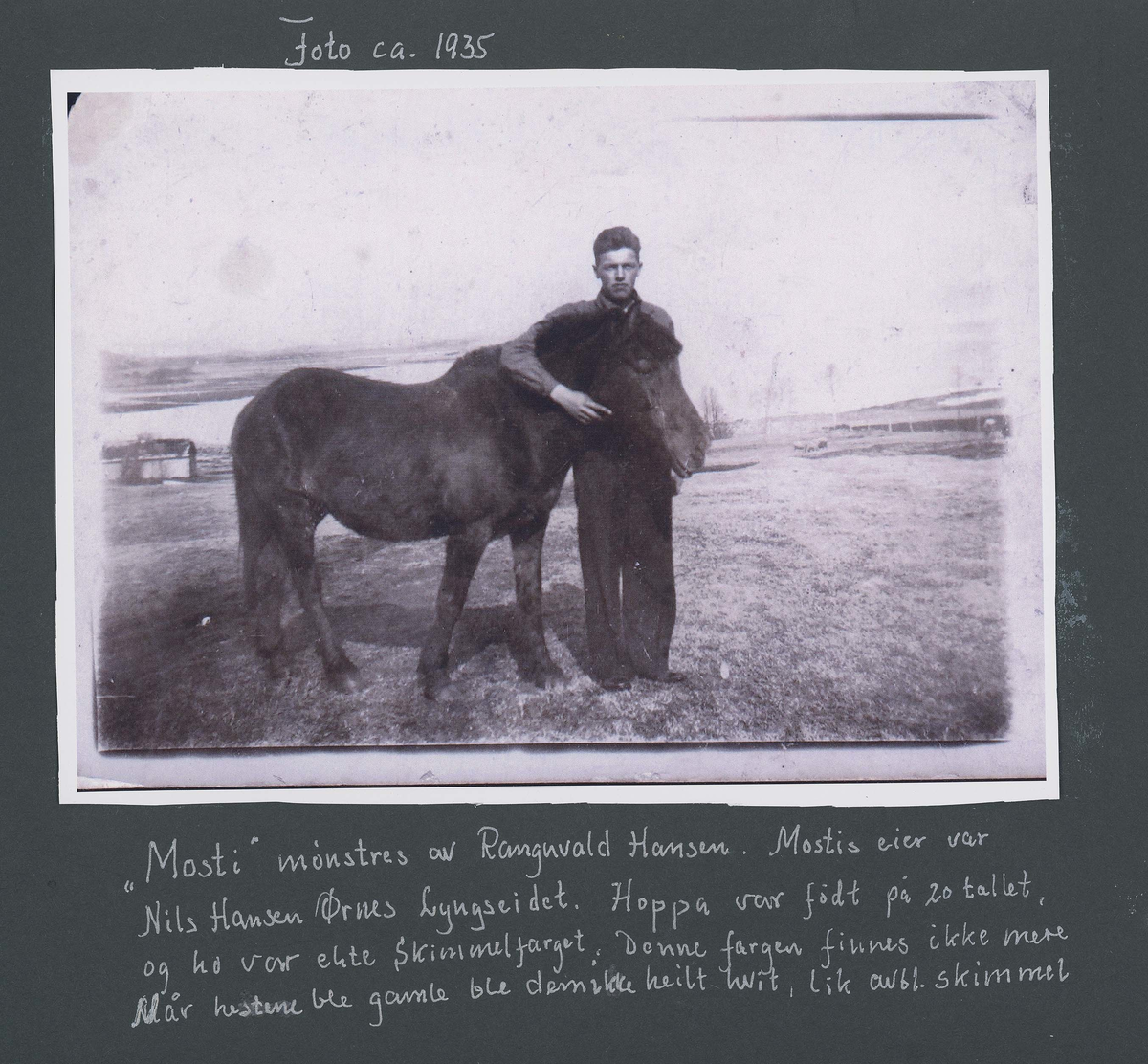 Fotografi og historier om lyngshesten fra ca. 1900 til 1994. Bilder av turistkjøring, gårdsarbeid, hestetransport, hesteutstilling og portretter.