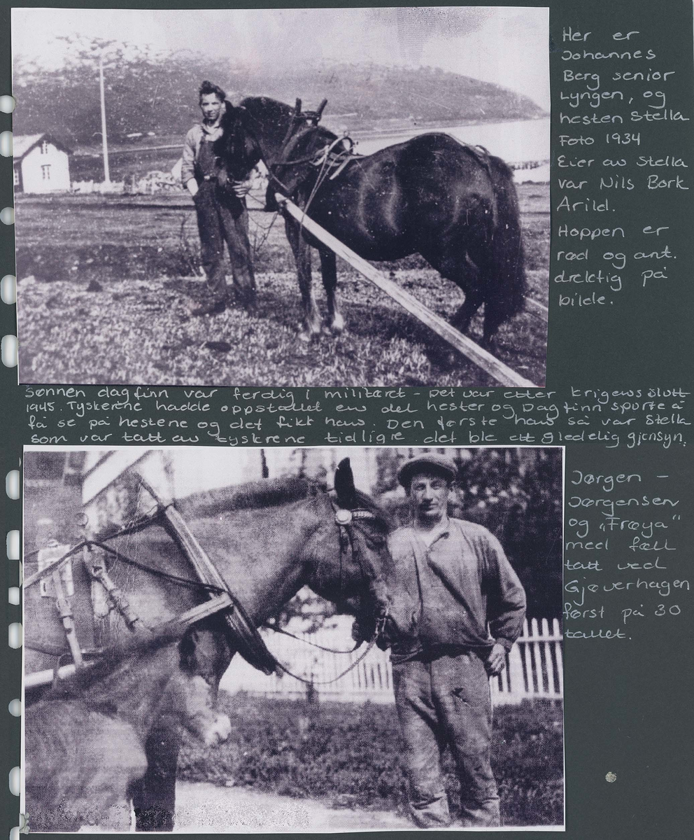 Fotografi og historier om lyngshesten fra ca. 1900 til 1994. Bilder av turistkjøring, gårdsarbeid, hestetransport, hesteutstilling og portretter.