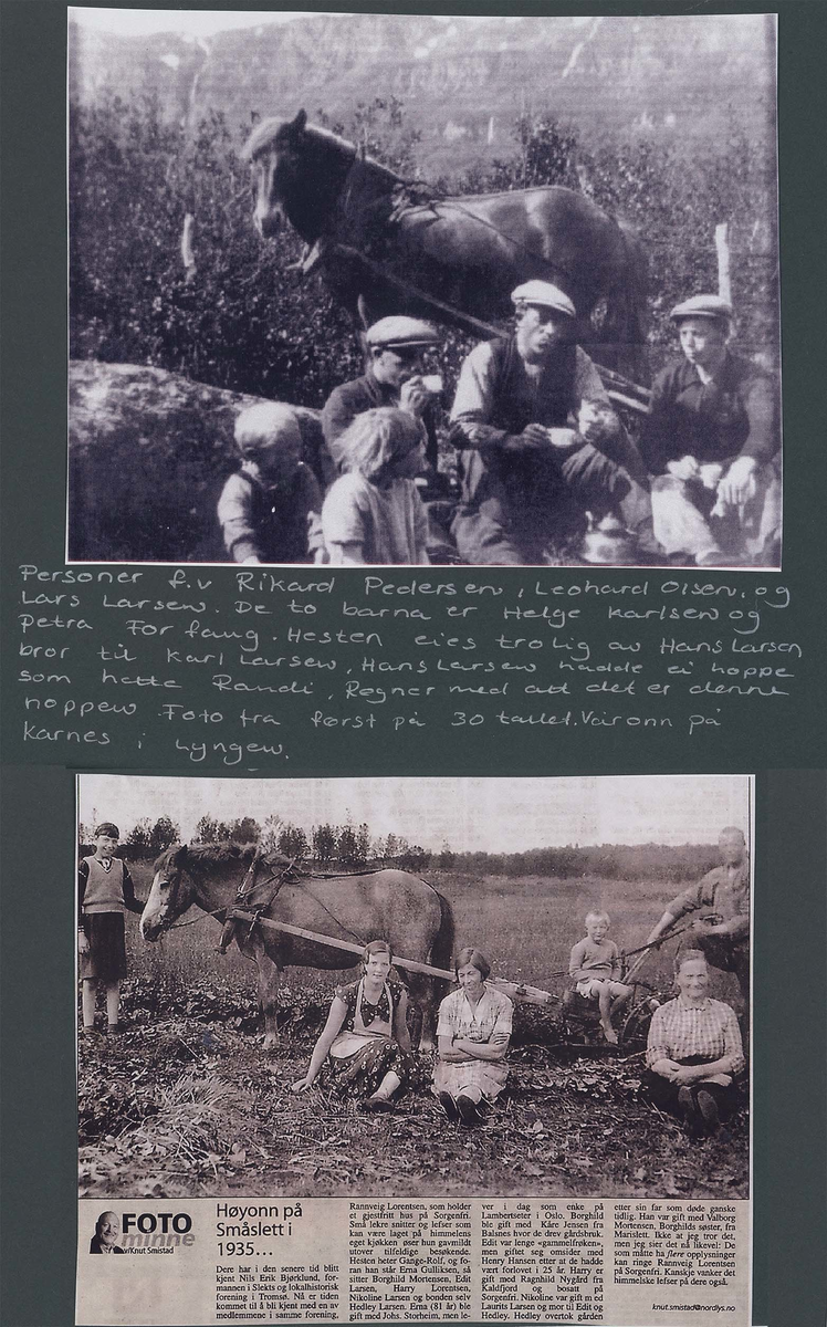 Fotografi og historier om lyngshesten fra ca. 1900 til 1994. Bilder av turistkjøring, gårdsarbeid, hestetransport, hesteutstilling og portretter.