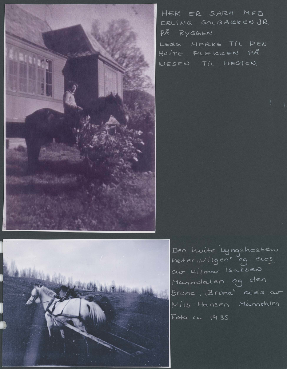 Fotografi og historier om lyngshesten fra ca. 1900 til 1994. Bilder av turistkjøring, gårdsarbeid, hestetransport, hesteutstilling og portretter.