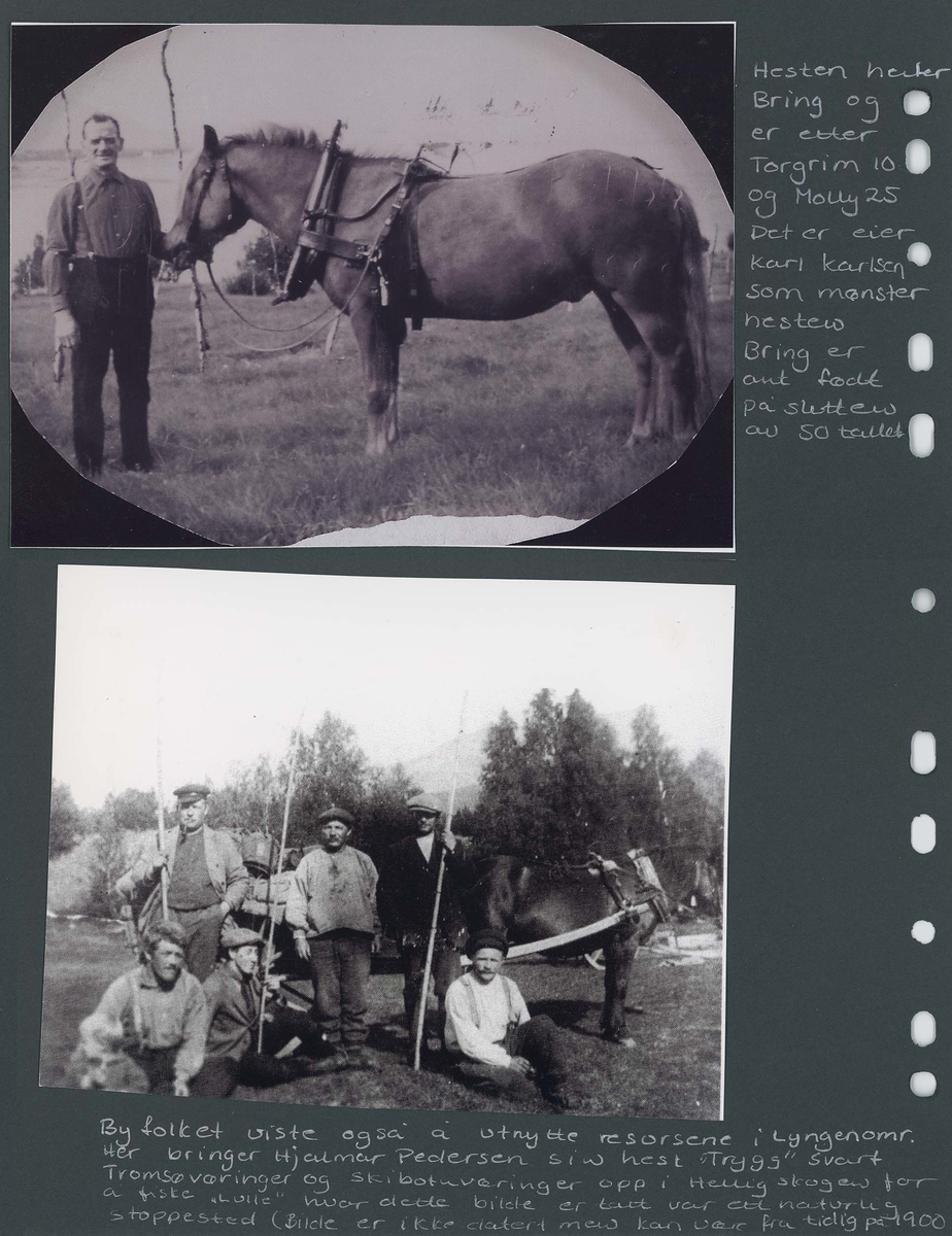 Fotografi og historier om lyngshesten fra ca. 1900 til 1994. Bilder av turistkjøring, gårdsarbeid, hestetransport, hesteutstilling og portretter.