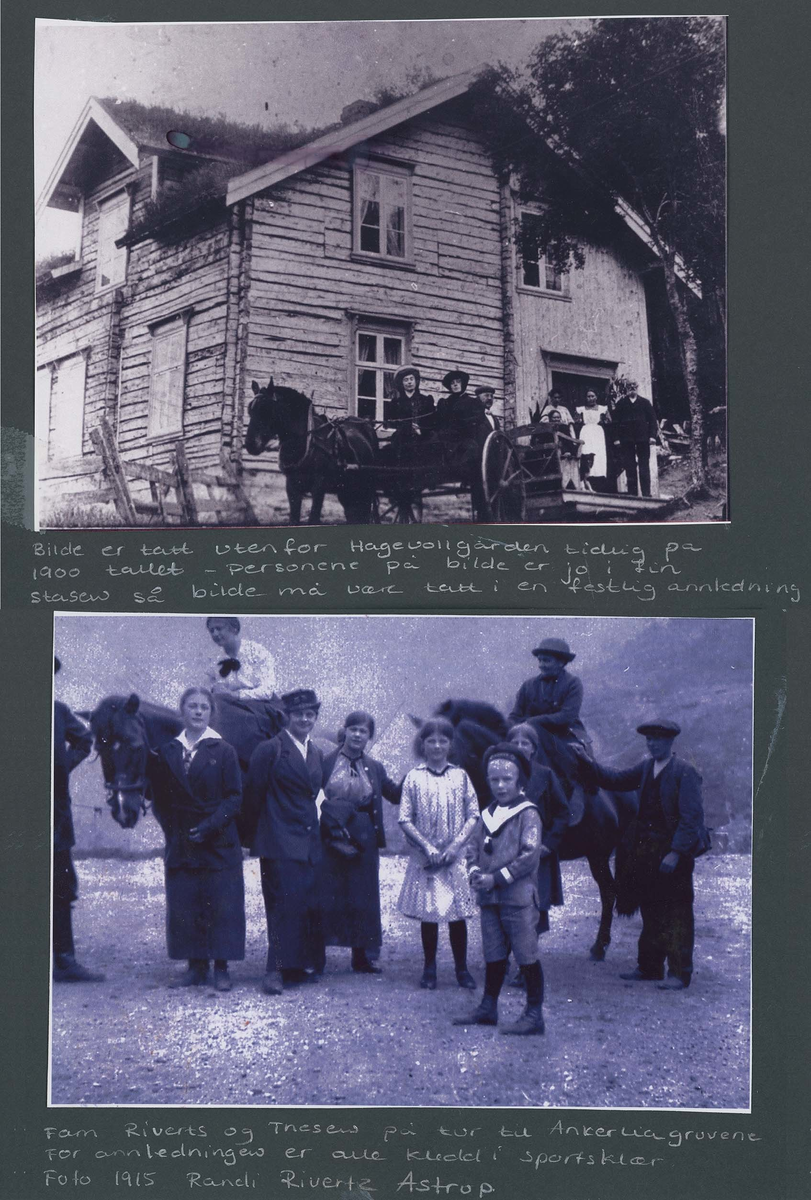 Fotografi og historier om lyngshesten fra ca. 1900 til 1994. Bilder av turistkjøring, gårdsarbeid, hestetransport, hesteutstilling og portretter.