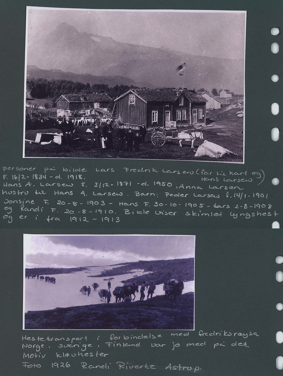 Fotografi og historier om lyngshesten fra ca. 1900 til 1994. Bilder av turistkjøring, gårdsarbeid, hestetransport, hesteutstilling og portretter.