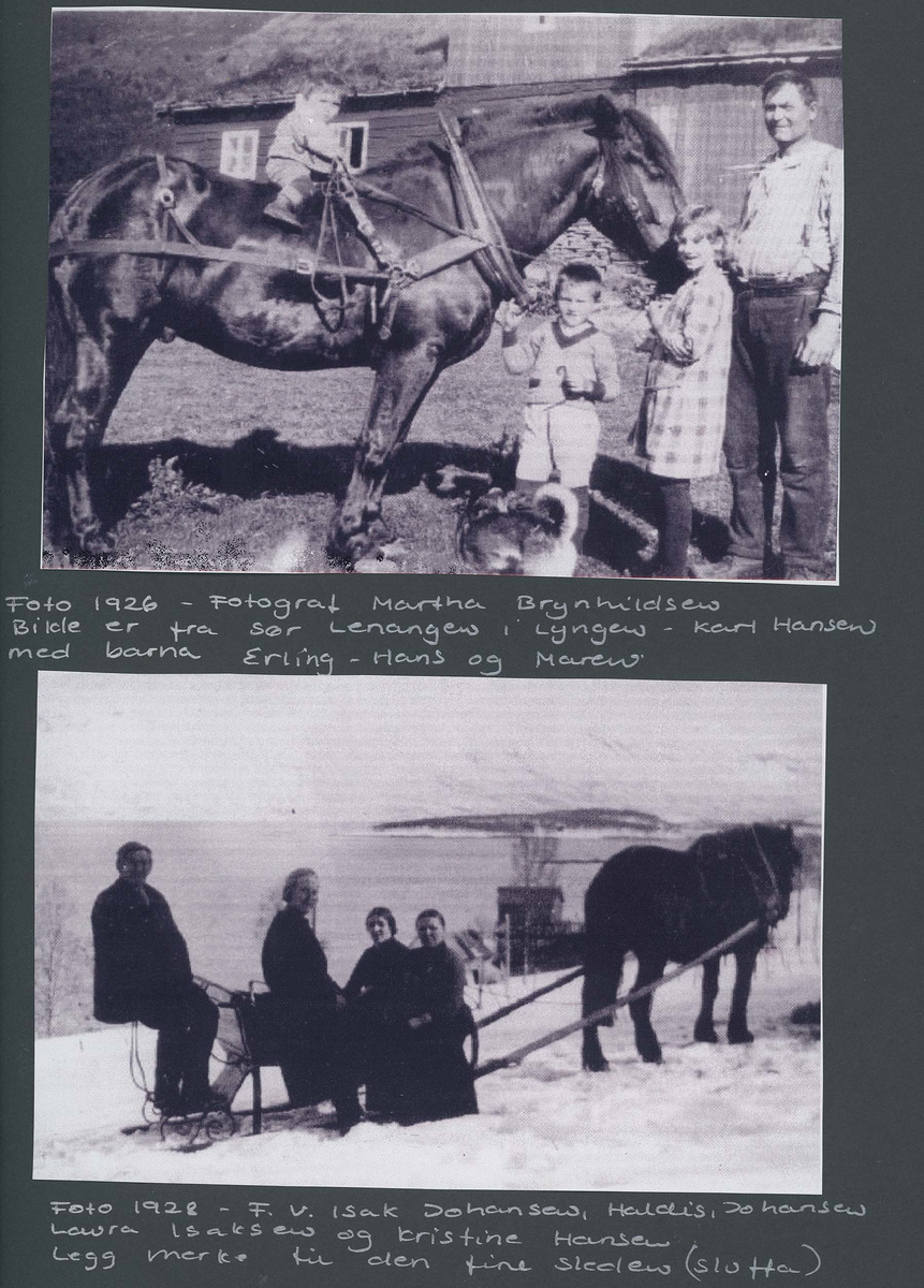 Fotografi og historier om lyngshesten fra ca. 1900 til 1994. Bilder av turistkjøring, gårdsarbeid, hestetransport, hesteutstilling og portretter.