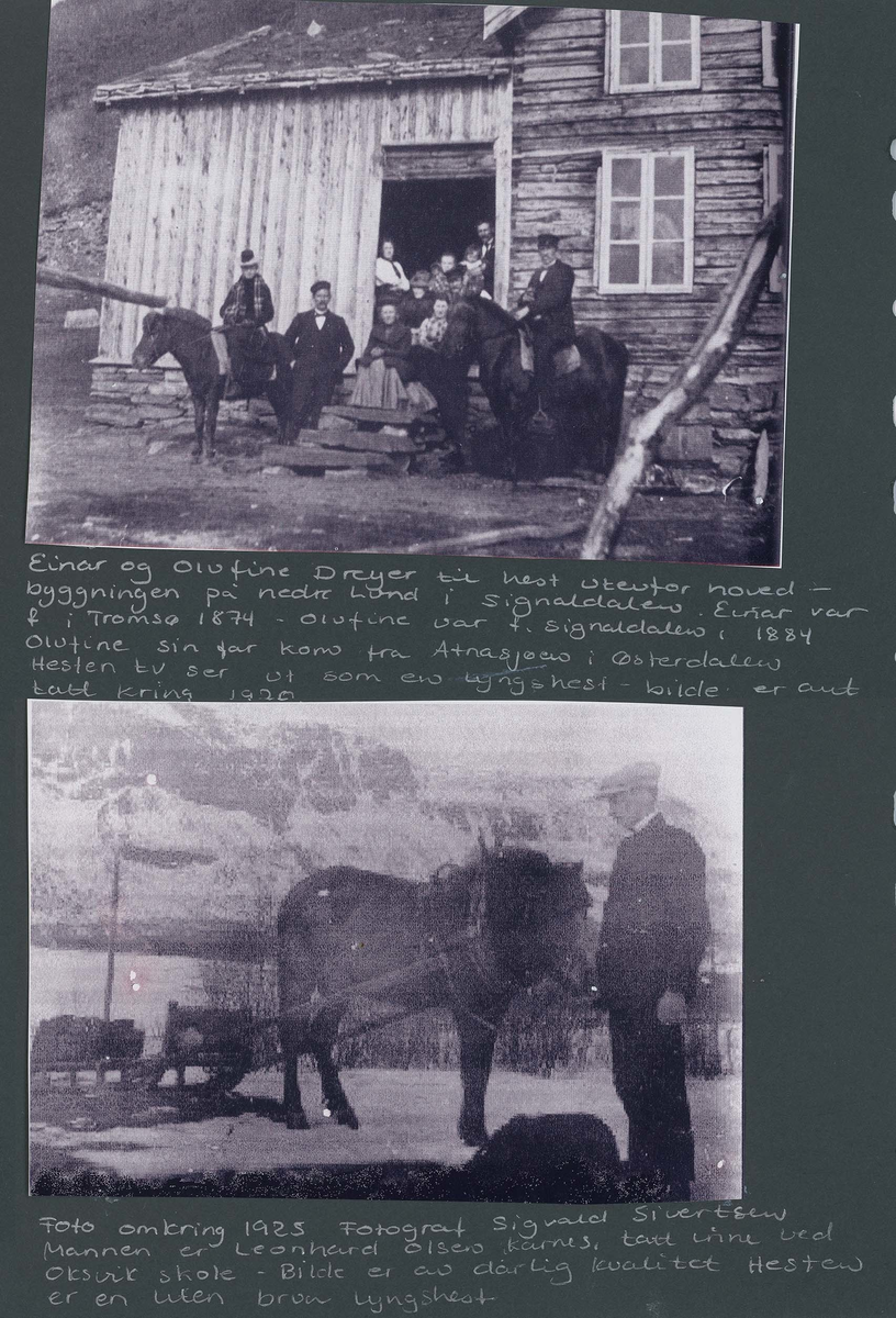 Fotografi og historier om lyngshesten fra ca. 1900 til 1994. Bilder av turistkjøring, gårdsarbeid, hestetransport, hesteutstilling og portretter.