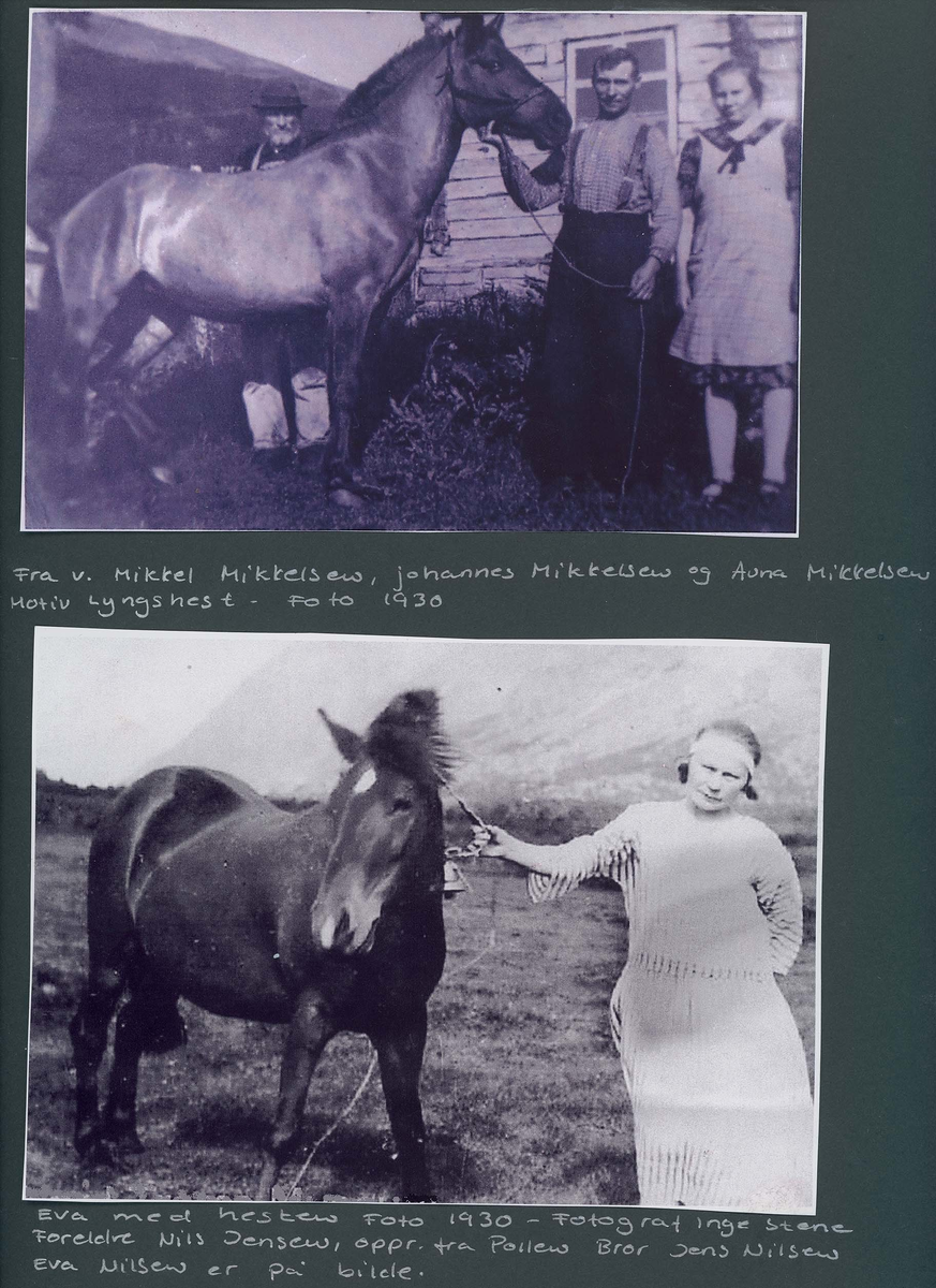 Fotografi og historier om lyngshesten fra ca. 1900 til 1994. Bilder av turistkjøring, gårdsarbeid, hestetransport, hesteutstilling og portretter.