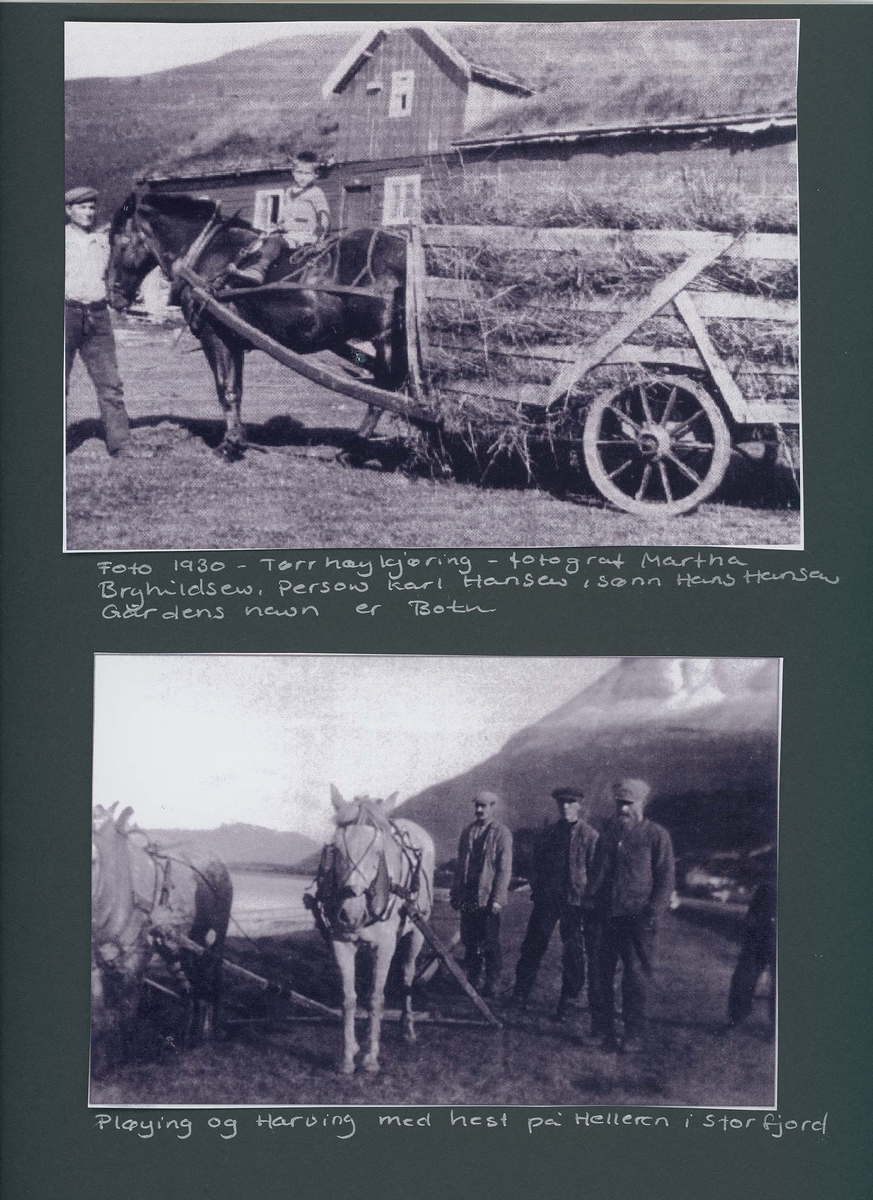 Fotografi og historier om lyngshesten fra ca. 1900 til 1994. Bilder av turistkjøring, gårdsarbeid, hestetransport, hesteutstilling og portretter.
