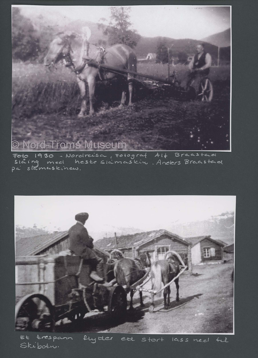 Fotografi og historier om lyngshesten fra ca. 1900 til 1994. Bilder av turistkjøring, gårdsarbeid, hestetransport, hesteutstilling og portretter.