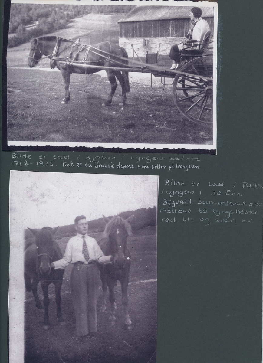 Fotografi og historier om lyngshesten fra ca. 1900 til 1994. Bilder av turistkjøring, gårdsarbeid, hestetransport, hesteutstilling og portretter.