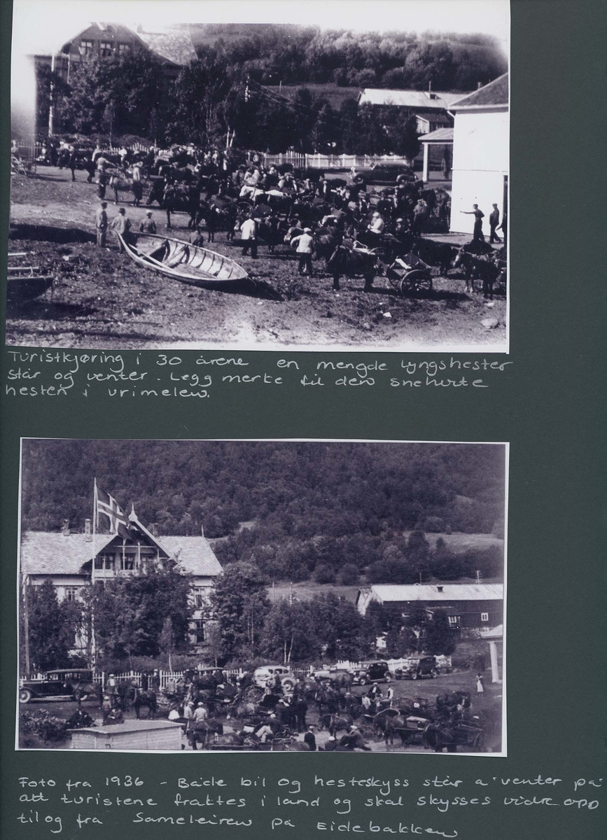 Fotografi og historier om lyngshesten fra ca. 1900 til 1994. Bilder av turistkjøring, gårdsarbeid, hestetransport, hesteutstilling og portretter.