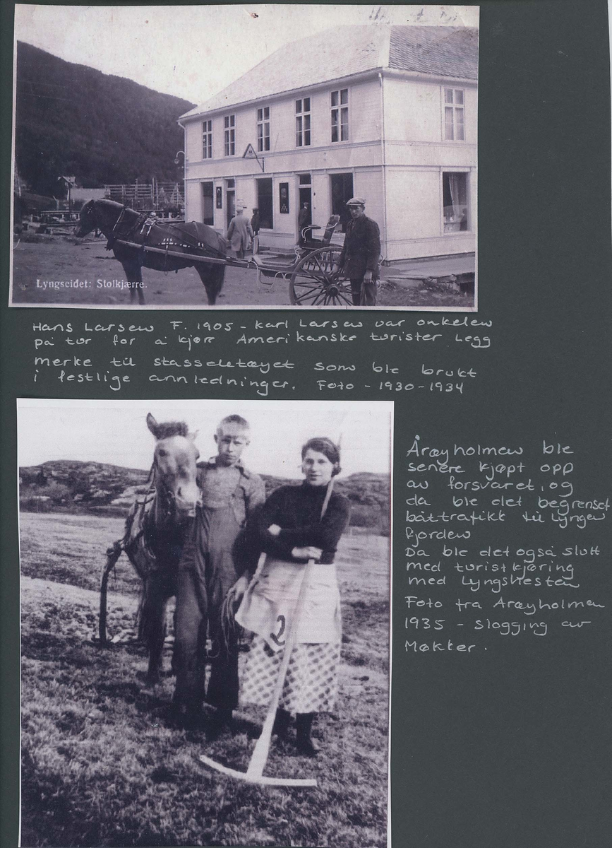 Fotografi og historier om lyngshesten fra ca. 1900 til 1994. Bilder av turistkjøring, gårdsarbeid, hestetransport, hesteutstilling og portretter.