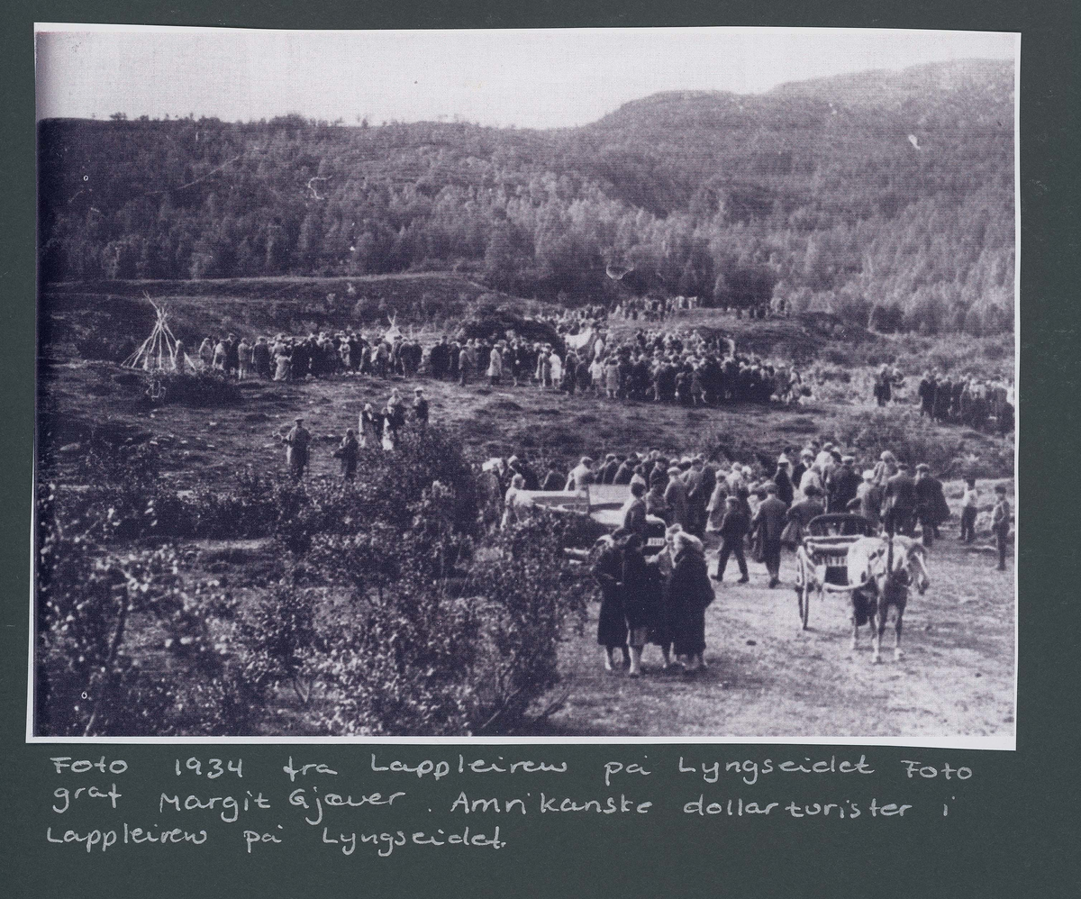 Fotografi og historier om lyngshesten fra ca. 1900 til 1994. Bilder av turistkjøring, gårdsarbeid, hestetransport, hesteutstilling og portretter.