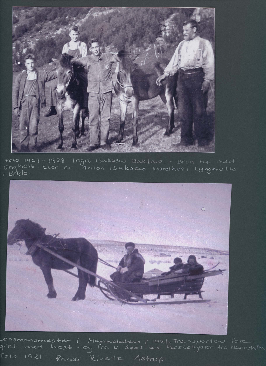 Fotografi og historier om lyngshesten fra ca. 1900 til 1994. Bilder av turistkjøring, gårdsarbeid, hestetransport, hesteutstilling og portretter.