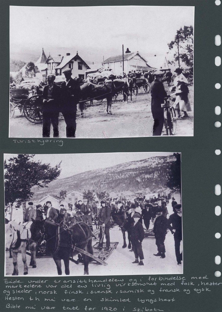Fotografi og historier om lyngshesten fra ca. 1900 til 1994. Bilder av turistkjøring, gårdsarbeid, hestetransport, hesteutstilling og portretter.