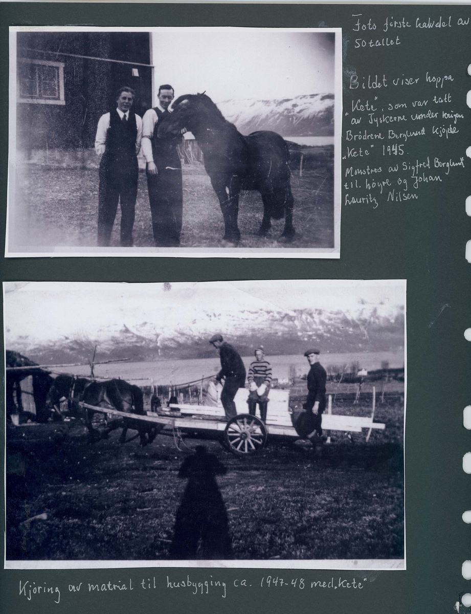 Fotografi og historier om lyngshesten fra ca. 1900 til 1994. Bilder av turistkjøring, gårdsarbeid, hestetransport, hesteutstilling og portretter.