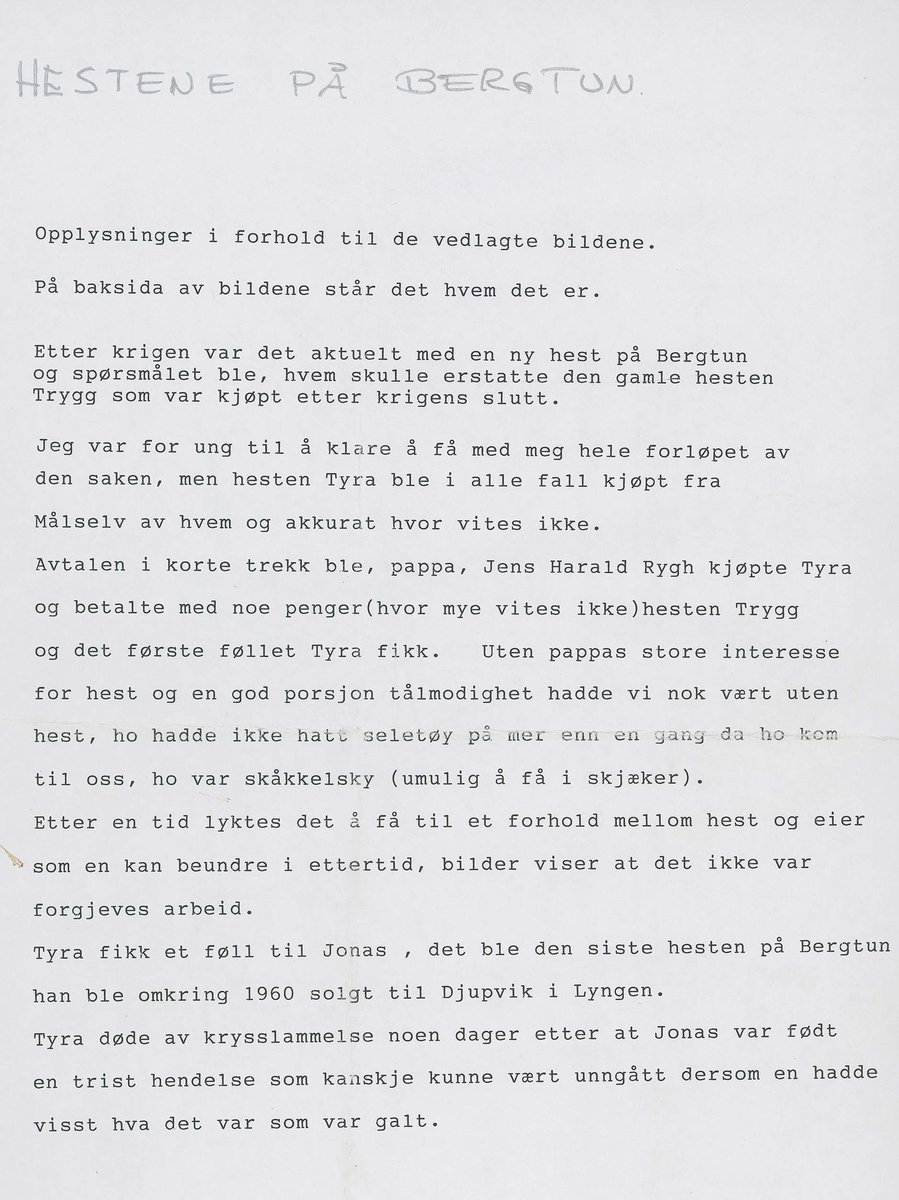 Fotografi og historier om lyngshesten fra ca. 1900 til 1994. Bilder av turistkjøring, gårdsarbeid, hestetransport, hesteutstilling og portretter.