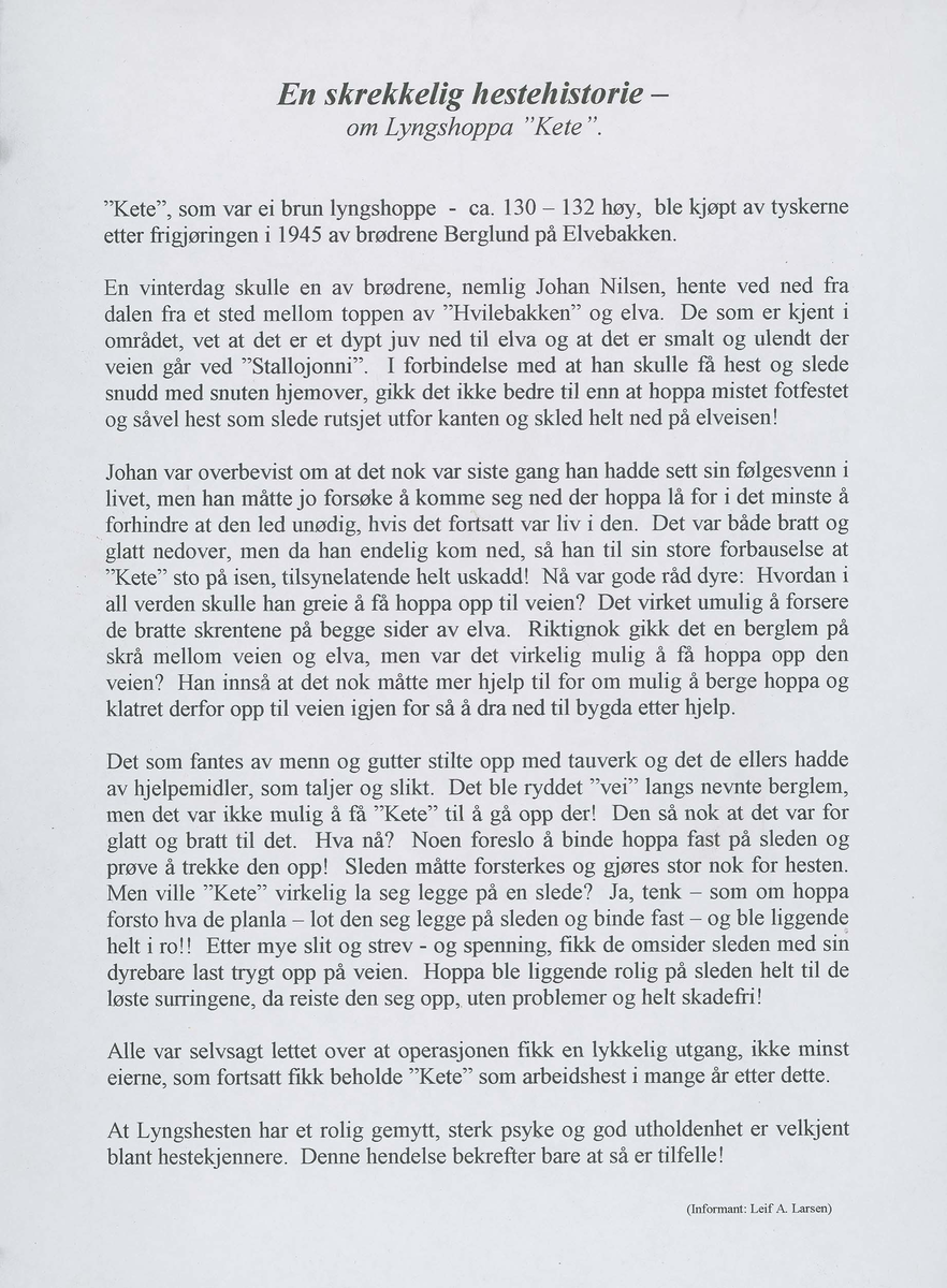 Fotografi og historier om lyngshesten fra ca. 1900 til 1994. Bilder av turistkjøring, gårdsarbeid, hestetransport, hesteutstilling og portretter.