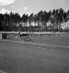 Gymnastiken, 18/5 1939. 
Truppgymnastik på Värendsvallen.