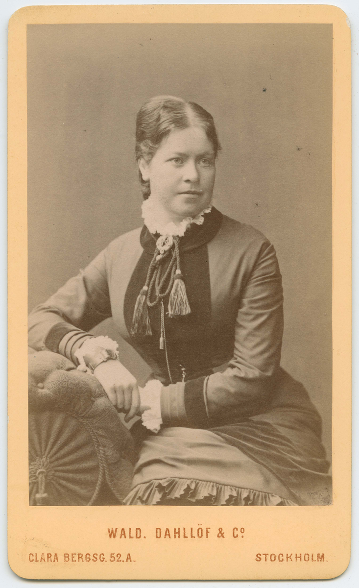 Porträtt på Alida Åberg år 1881