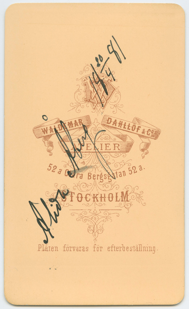 Porträtt på Alida Åberg år 1881