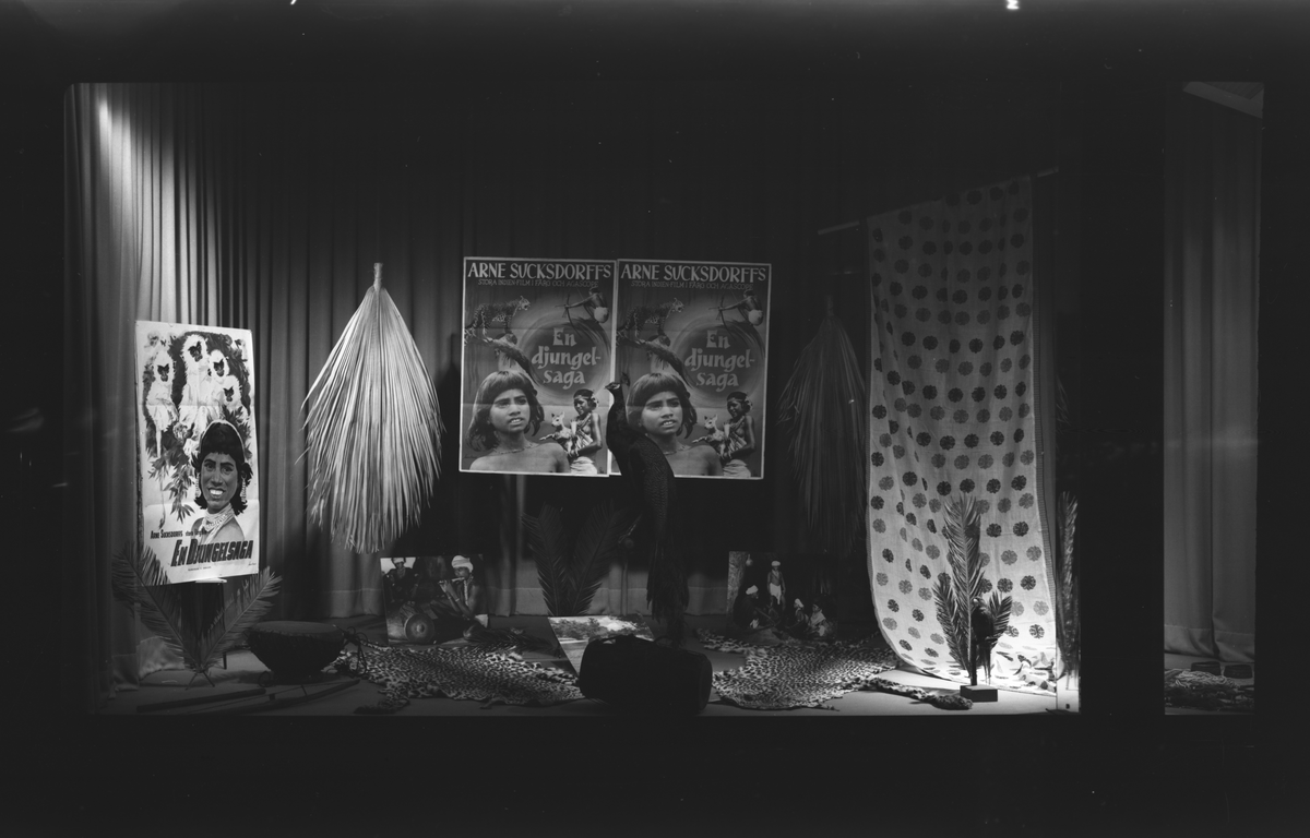 Skyltfönster som gör reklam för Arne Sucksdorffs film En djungelsaga. Bilden är tagen den 11 februari 1958 av Ateljé Eggeborn.