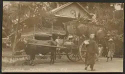 Gatubild Padang nov 1919.