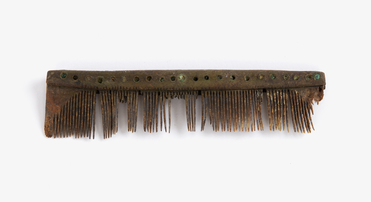 Tillsammans med tre små fragment av läder, textil och päls (hår). Invid kammen fanns även ett täcke av mossa.
Fragment: 1