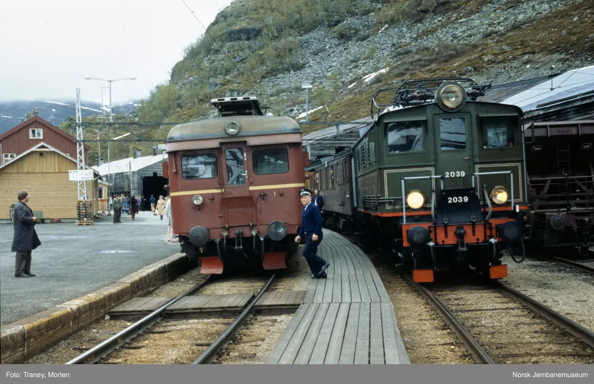 Togmøte på Myrdal stasjon. Til venstre elektrisk motorvogn BM 64, til høyre elektrisk lokomotiv El 5 2039