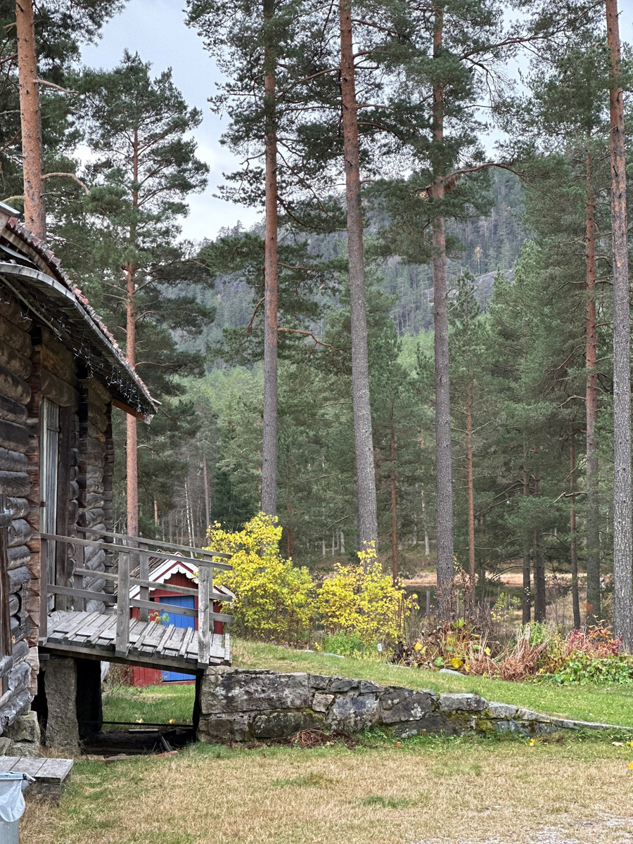 Prestegårdslåven opprinnelig oppført på prestegården i Prestestranda rundt 1770. Låven ble flyttet til Drangedal Bygdetun i 1977. 
Det står en del skrevet på låveveggene. På den søndre låveveggen står det i tømmeret: «1779 den 2d september kom A C K til Drangedal prestegjeld og reiste a e i s a den 24d januar 1788». Det henvises her til presten Andreas Christian Krog som var prest i Drangedal prestegjeld fra 1779 til 1788.
