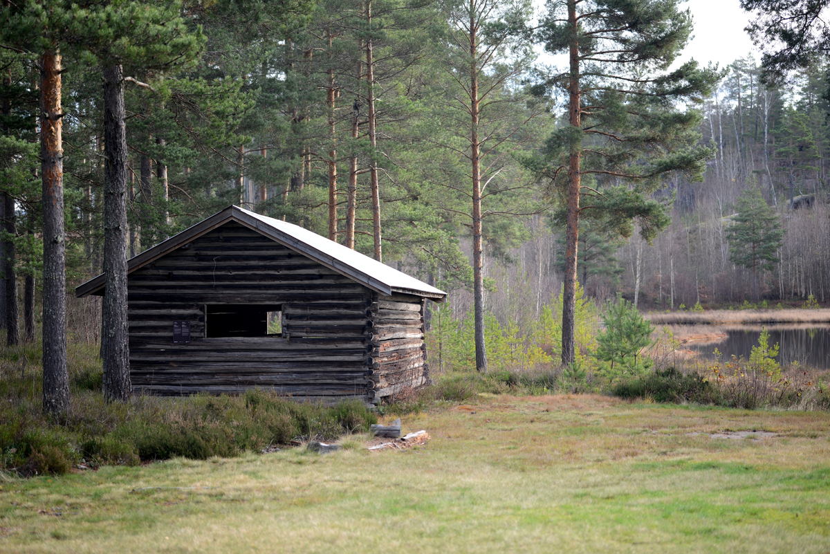 Høybu fra gården Myra, antakelig oppført omkring år 1850. Våningshuset Myra var flyttet til Drangedal Bygdetun i 1965 og høybua kom først i 1988. Gården Myra hadde omkring 8000 mål skog, frem til 1880 årene. Eier var da Ola Mikkelsen. Gården ble deretter solgt til Henrik Bjørn i Kragerø. Etter hvert var gården bebodd av Nils Myra, som bodde der frem til cirka 1960. 

Bygget var en gave fra trelastforhandler og Ole og trelasthandler, grynder, Hans Halvorsen Holta i Skien. Sistnevnte var også grunnlegger av det som i dag er Telemark Museum i Skien.