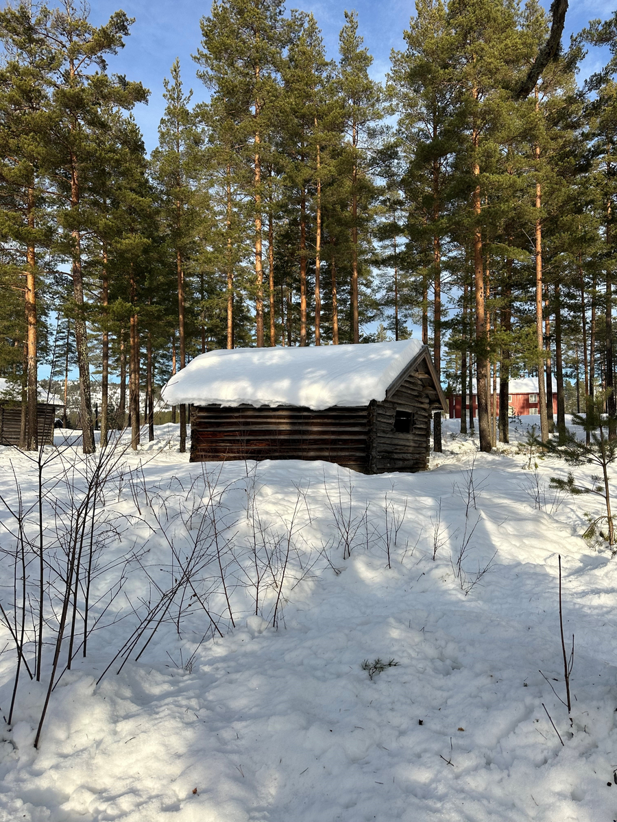 Høybu fra gården Myra, antakelig oppført omkring år 1850. Våningshuset Myra var flyttet til Drangedal Bygdetun i 1965 og høybua kom først i 1988. Gården Myra hadde omkring 8000 mål skog, frem til 1880 årene. Eier var da Ola Mikkelsen. Gården ble deretter solgt til Henrik Bjørn i Kragerø. Etter hvert var gården bebodd av Nils Myra, som bodde der frem til cirka 1960. 

Bygget var en gave fra trelastforhandler og Ole og trelasthandler, grynder, Hans Halvorsen Holta i Skien. Sistnevnte var også grunnlegger av det som i dag er Telemark Museum i Skien.