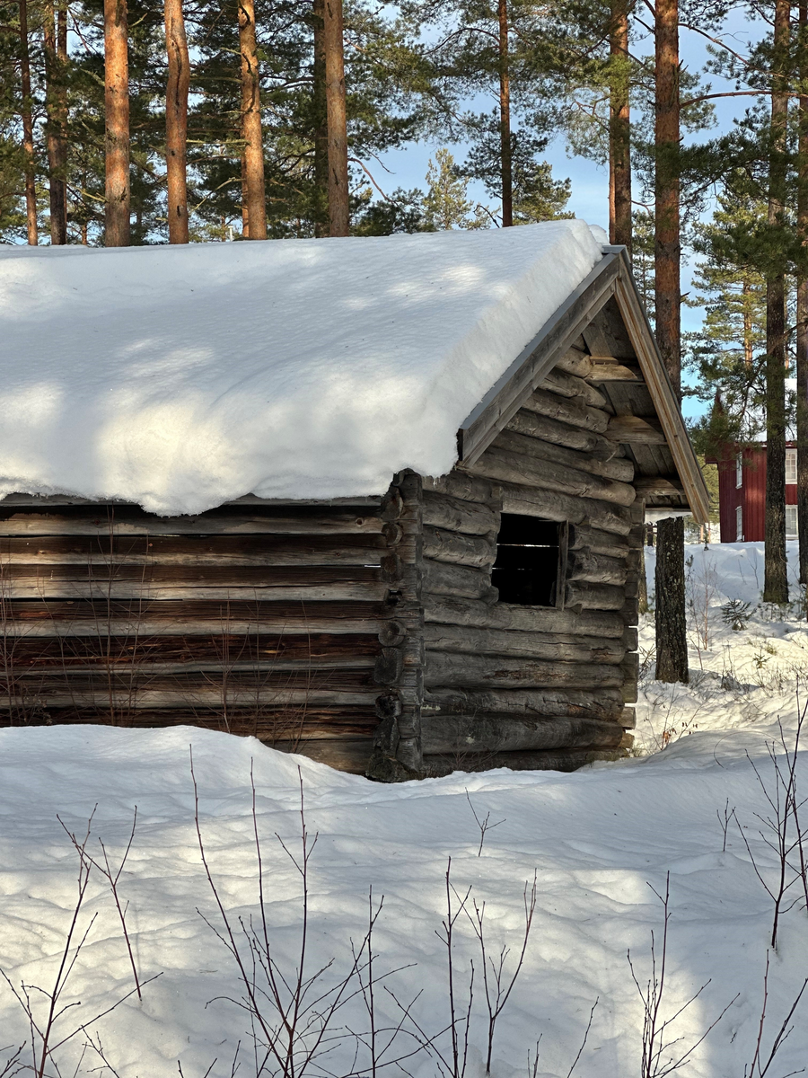 Høybu fra gården Myra, antakelig oppført omkring år 1850. Våningshuset Myra var flyttet til Drangedal Bygdetun i 1965 og høybua kom først i 1988. Gården Myra hadde omkring 8000 mål skog, frem til 1880 årene. Eier var da Ola Mikkelsen. Gården ble deretter solgt til Henrik Bjørn i Kragerø. Etter hvert var gården bebodd av Nils Myra, som bodde der frem til cirka 1960. 

Bygget var en gave fra trelastforhandler og Ole og trelasthandler, grynder, Hans Halvorsen Holta i Skien. Sistnevnte var også grunnlegger av det som i dag er Telemark Museum i Skien.