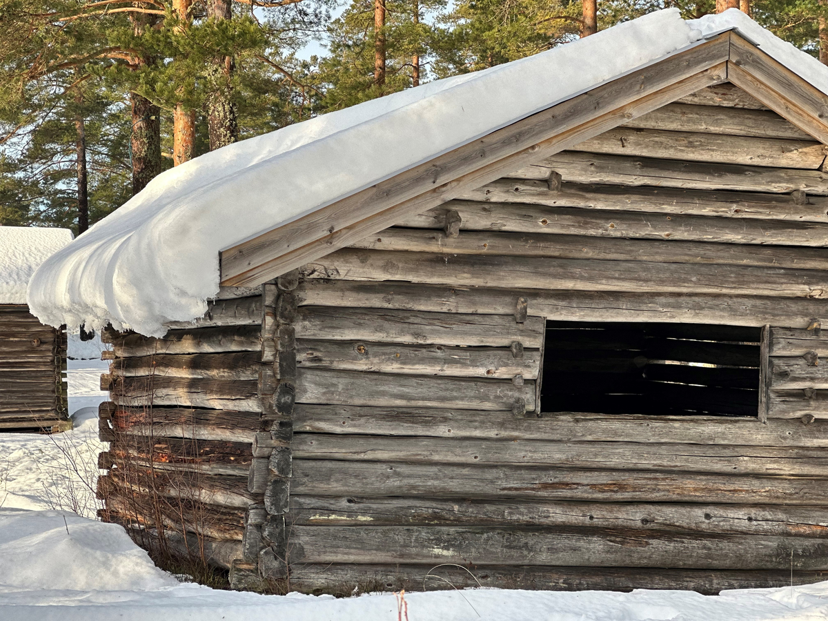 Høybu fra gården Myra, antakelig oppført omkring år 1850. Våningshuset Myra var flyttet til Drangedal Bygdetun i 1965 og høybua kom først i 1988. Gården Myra hadde omkring 8000 mål skog, frem til 1880 årene. Eier var da Ola Mikkelsen. Gården ble deretter solgt til Henrik Bjørn i Kragerø. Etter hvert var gården bebodd av Nils Myra, som bodde der frem til cirka 1960. 

Bygget var en gave fra trelastforhandler og Ole og trelasthandler, grynder, Hans Halvorsen Holta i Skien. Sistnevnte var også grunnlegger av det som i dag er Telemark Museum i Skien.