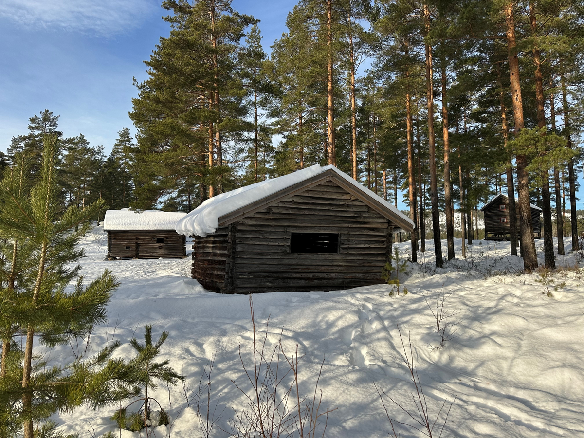 Høybu fra gården Myra, antakelig oppført omkring år 1850. Våningshuset Myra var flyttet til Drangedal Bygdetun i 1965 og høybua kom først i 1988. Gården Myra hadde omkring 8000 mål skog, frem til 1880 årene. Eier var da Ola Mikkelsen. Gården ble deretter solgt til Henrik Bjørn i Kragerø. Etter hvert var gården bebodd av Nils Myra, som bodde der frem til cirka 1960. 

Bygget var en gave fra trelastforhandler og Ole og trelasthandler, grynder, Hans Halvorsen Holta i Skien. Sistnevnte var også grunnlegger av det som i dag er Telemark Museum i Skien.