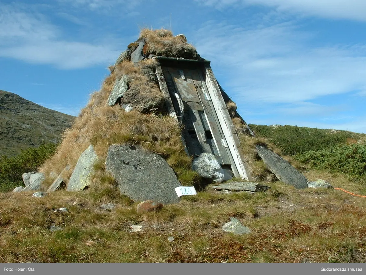Randbue ned for Svartberget i Grisungdalen på Dovrefjell.