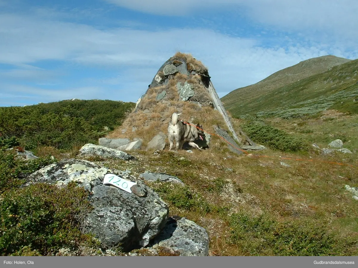 Randbue ned for Svartberget i Grisungdalen på Dovrefjell.