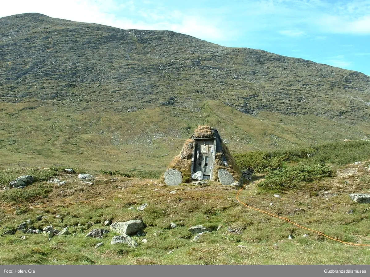 Randbue ned for Svartberget i Grisungdalen på Dovrefjell.