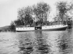DS Krabben